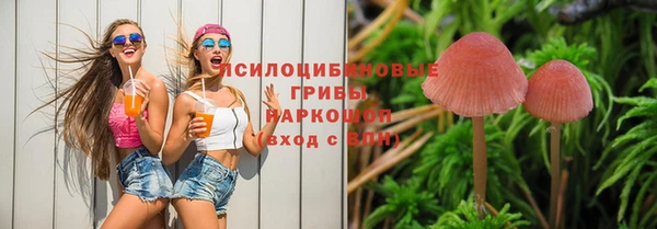 мдпв Михайлов