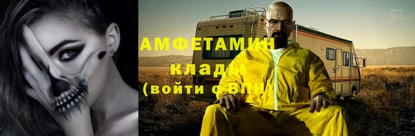 сатива Великий Новгород