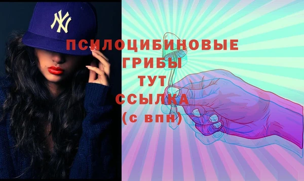 индика Медвежьегорск