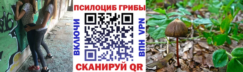 Псилоцибиновые грибы прущие грибы  даркнет телеграм  Карталы 