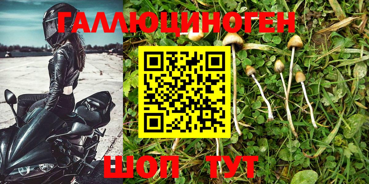 Псилоцибиновые грибы прущие грибы  Галлюциногенные грибы ЛСД  Карталы 