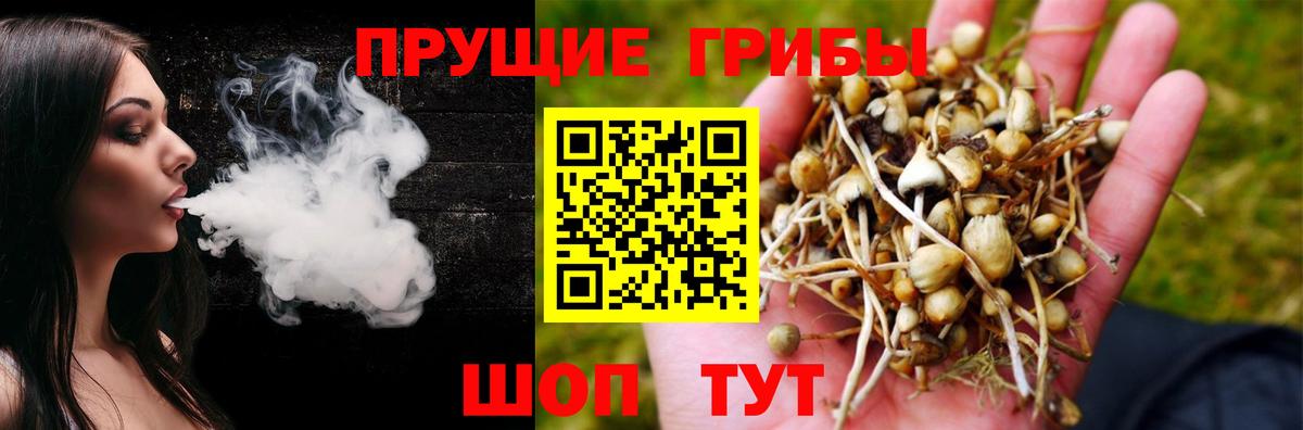 Канабис  Диски  МЕФ  Codein  Карталы  Гарик  Меф  COCAIN  25-NBOMe  МЕТ  Гарик  Вход с VPN 